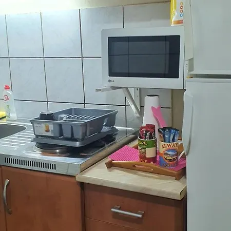 아파트 Viktorija Apartman 포드고리차